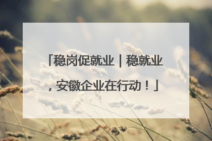 稳岗促就业｜稳就业，安徽企业在行动！